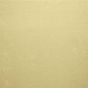 Celine Taupe by Kasmir Fabric