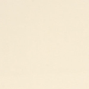 Weatherguard Ivory by Mitchell Fabric