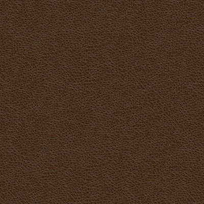 Kravet Smart Chadrick-66 by Kravet Smart Fabric