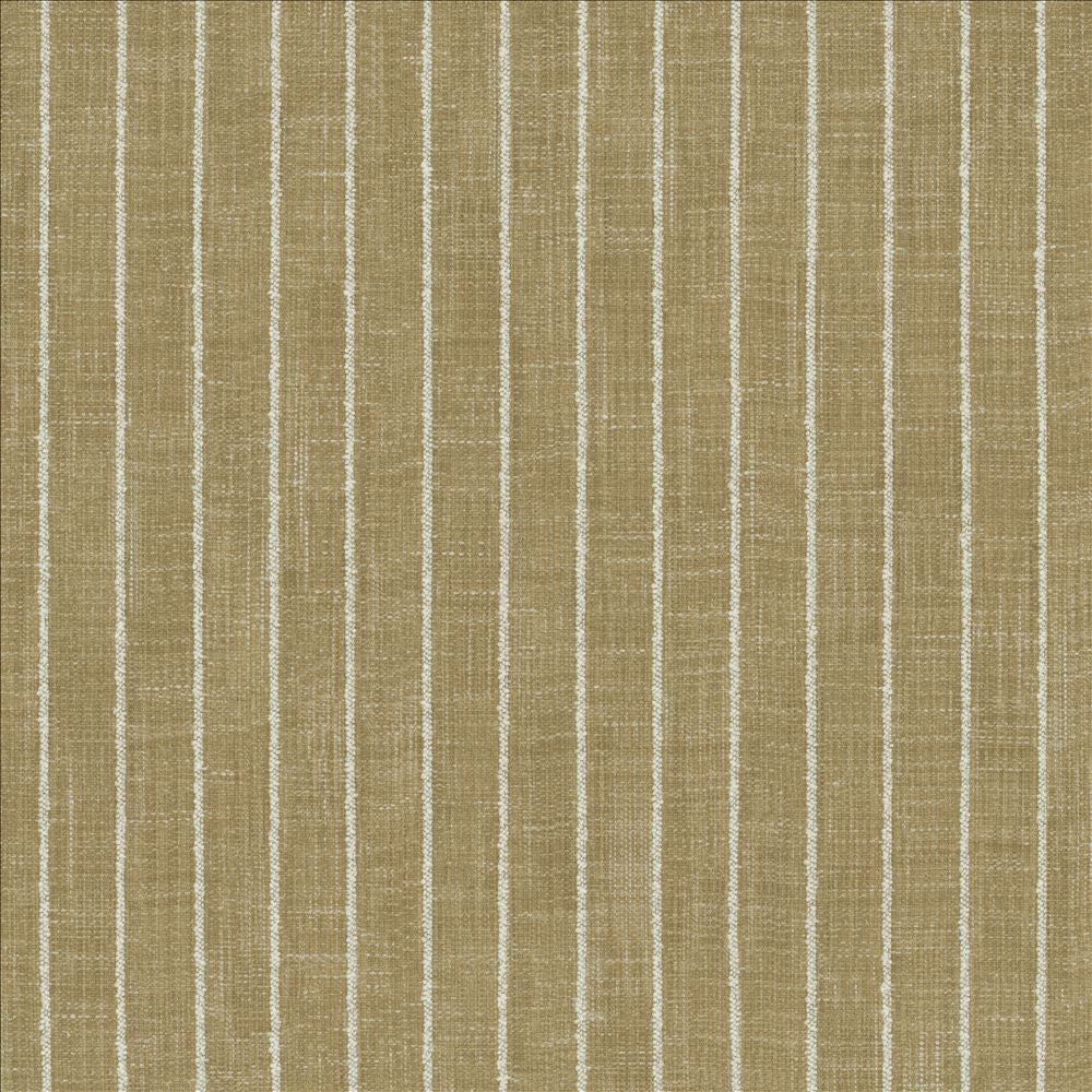 Charismatic Jasmine by Kasmir Fabric 1471 73% Polyester
27% Cotton
 INDIA 20,000 Wyzenbeek Double Rubs </p><p>Repeat: Horizontal: 1 inches and Vertical: N/A 54 - Fabric Carolina -