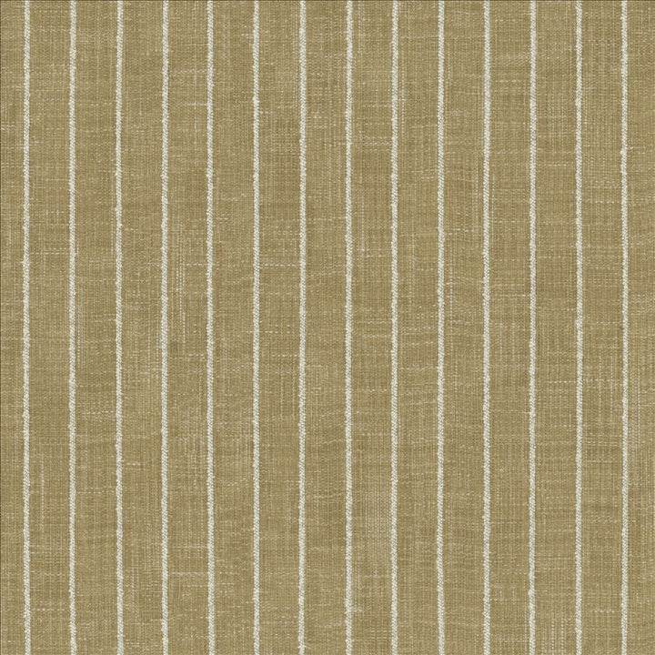 Charismatic Jasmine by Kasmir Fabric 1471 73% Polyester
27% Cotton
 INDIA 20,000 Wyzenbeek Double Rubs </p><p>Repeat: Horizontal: 1 inches and Vertical: N/A 54 - Fabric Carolina -