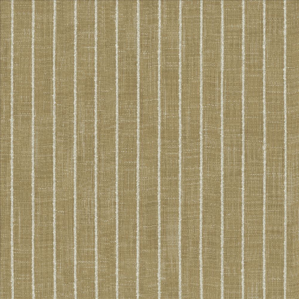 Charismatic Jasmine by Kasmir Fabric 1471 73% Polyester
27% Cotton
 INDIA </p><p>Repeat: Horizontal: 1 inches and Vertical: N/A 54 - Fabric Carolina -