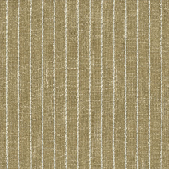Charismatic Jasmine by Kasmir Fabric 1471 73% Polyester
27% Cotton
 INDIA </p><p>Repeat: Horizontal: 1 inches and Vertical: N/A 54 - Fabric Carolina -