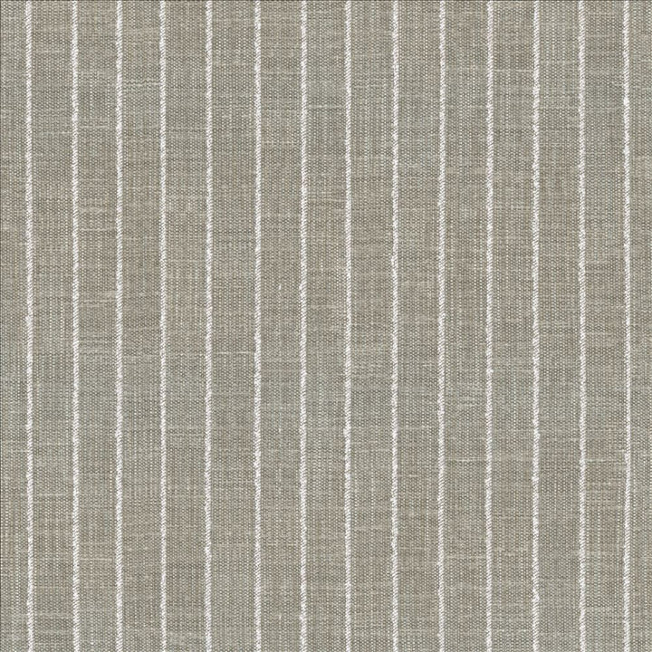 Charismatic Platinum by Kasmir Fabric 1471 73% Polyester
27% Cotton
 INDIA 20,000 Wyzenbeek Double Rubs </p><p>Repeat: Horizontal: 1 inches and Vertical: N/A 54 - Fabric Carolina -