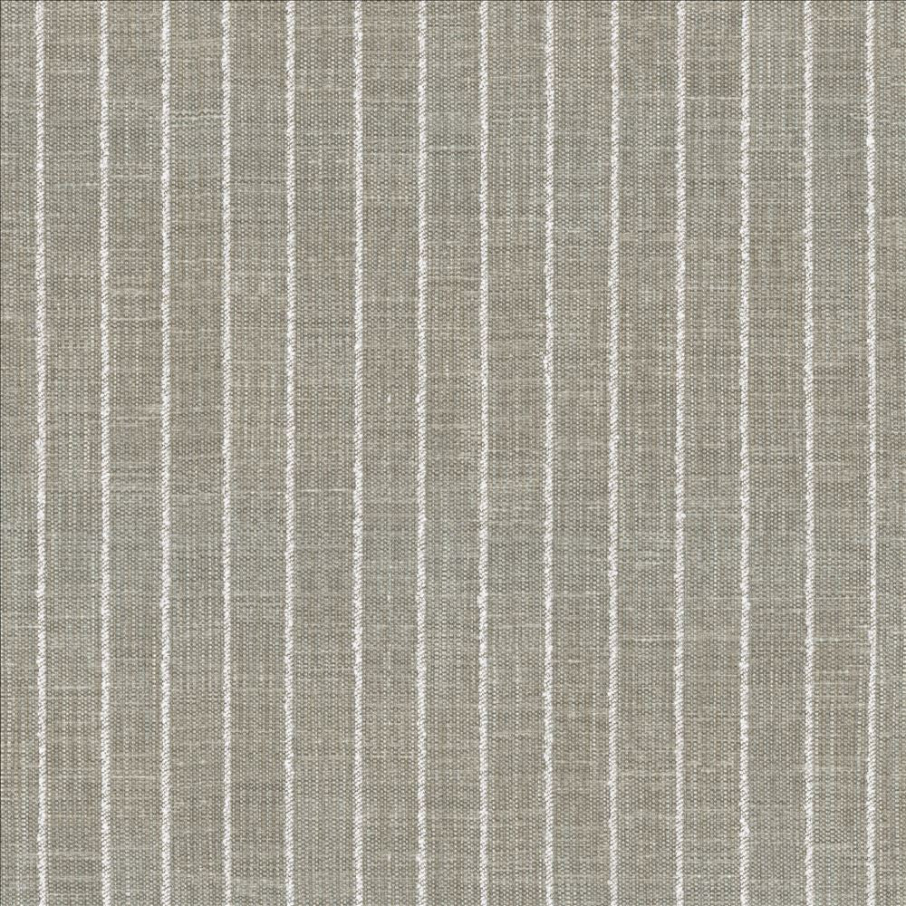 Charismatic Platinum by Kasmir Fabric 1471 73% Polyester
27% Cotton
 INDIA 20,000 Wyzenbeek Double Rubs </p><p>Repeat: Horizontal: 1 inches and Vertical: N/A 54 - Fabric Carolina -