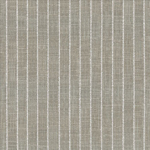 Charismatic Platinum by Kasmir Fabric