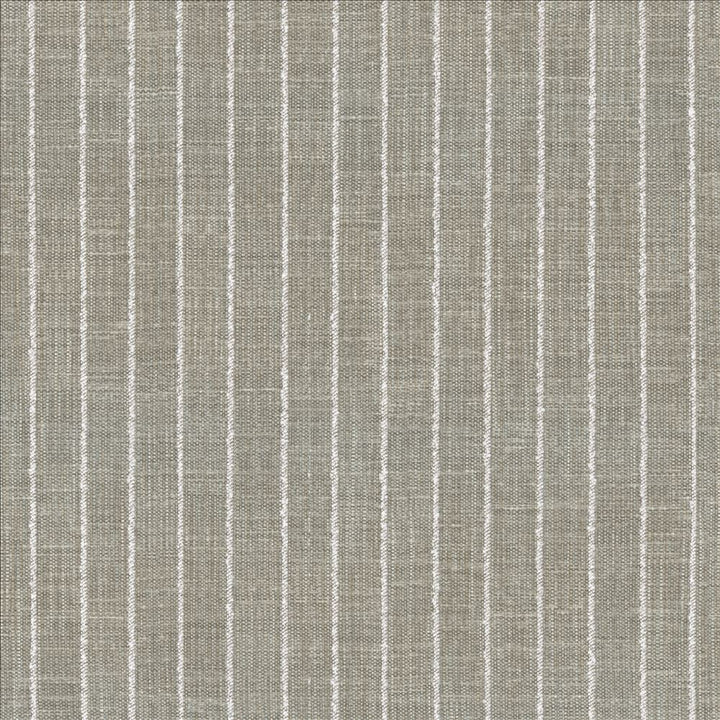 Charismatic Platinum by Kasmir Fabric 1471 73% Polyester
27% Cotton
 INDIA </p><p>Repeat: Horizontal: 1 inches and Vertical: N/A 54 - Fabric Carolina -