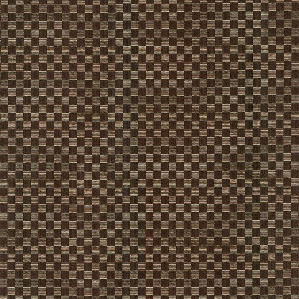 Check This Out Chocolate by Kasmir Fabric 5084 55% Polyester 45% Rayon CHINA 55,000 Wyzenbeek Double Rubs H: 1 inches, V:3 inches 55 - Fabric Carolina - Kasmir