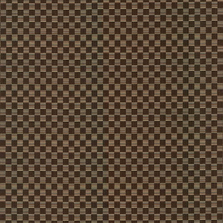 Check This Out Chocolate by Kasmir Fabric 5084 55% Polyester 45% Rayon CHINA 55,000 Wyzenbeek Double Rubs H: 1 inches, V:3 inches 55 - Fabric Carolina - Kasmir