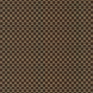 Check This Out Chocolate by Kasmir Fabric