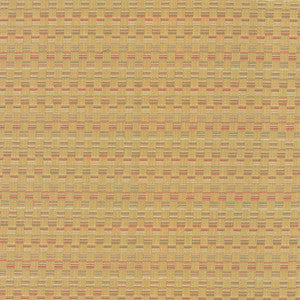 Check This Out Gold by Kasmir Fabric