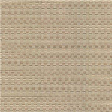 Check This Out Haze by Kasmir Fabric 5083 55% Polyester 45% Rayon CHINA 55,000 Wyzenbeek Double Rubs H: 1 inches, V: 3 inches 55 - Fabric Carolina - Kasmir