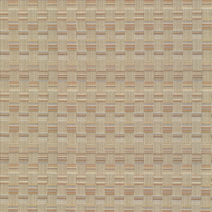Check This Out Haze by Kasmir Fabric 5083 55% Polyester 45% Rayon CHINA 55,000 Wyzenbeek Double Rubs Horizontal: 1 inches and Vertical: 3 inches 55 - Fabric Carolina -