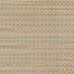 Check This Out Haze by Kasmir Fabric