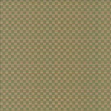Check This Out Kiwi by Kasmir Fabric 5090 55% Polyester 45% Rayon CHINA 55,000 Wyzenbeek Double Rubs H: 1 inches, V: 3 inches 55 - Fabric Carolina - Kasmir