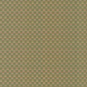 Check This Out Kiwi by Kasmir Fabric