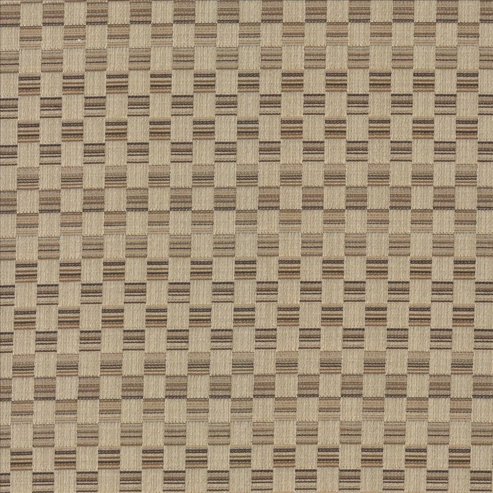 Check This Out Latte by Kasmir Fabric 5083 55% Polyester
45% Rayon
 CHINA </p><p>Repeat: Horizontal: 1 inches and Vertical: 3 inches 55 - Fabric Carolina -