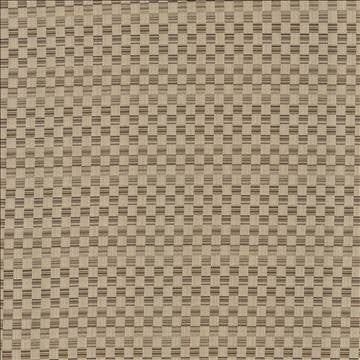 Check This Out Latte by Kasmir Fabric 5083 55% Polyester 45% Rayon CHINA 55,000 Wyzenbeek Double Rubs H: 1 inches, V: 3 inches 55 - Fabric Carolina - Kasmir