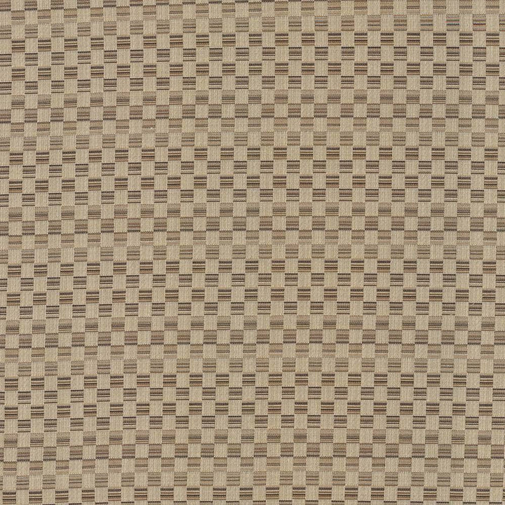 Check This Out Latte by Kasmir Fabric 5083 55% Polyester 45% Rayon CHINA 55,000 Wyzenbeek Double Rubs H: 1 inches, V:3 inches 55 - Fabric Carolina - Kasmir