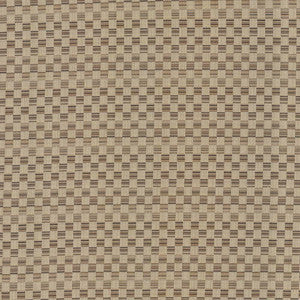 Check This Out Latte by Kasmir Fabric