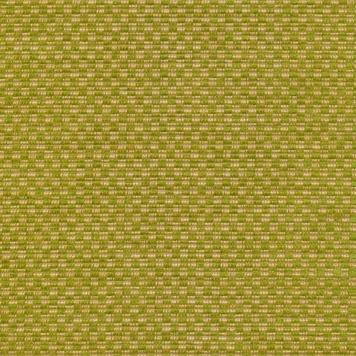 Checkered Out Io Frond by Kasmir Fabric 1413 100% Acrylic USA 12,000 Wyzenbeek Double Rubs H: 6/8 inches, V:3/8 inches 54 - Fabric Carolina - Kasmir