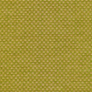 Checkered Out Io Frond by Kasmir Fabric