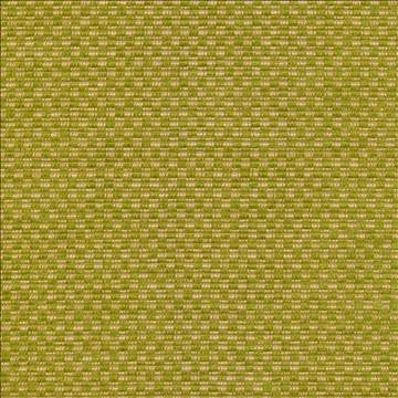 Checkered Out Io Frond by Kasmir Fabric 1413 100% Acrylic USA 12,000 Wyzenbeek Double Rubs H: 6/8 inches, V: 3/8 inches 54 - Fabric Carolina - Kasmir