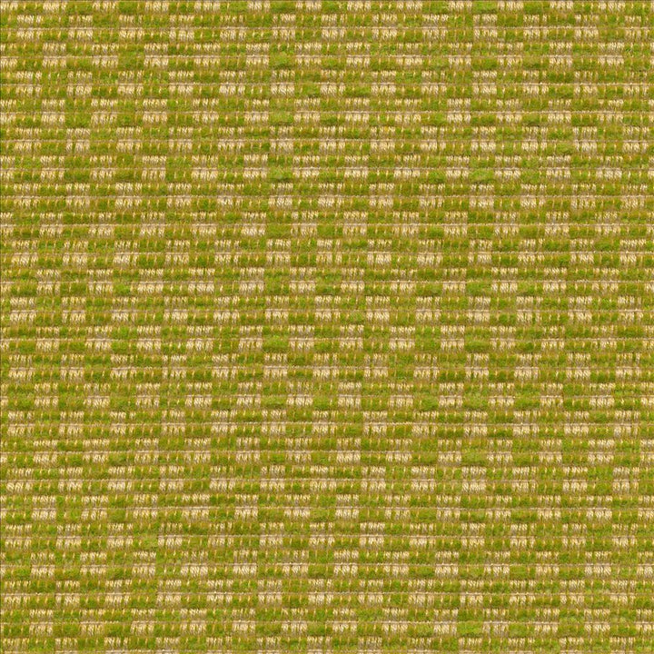 Checkered Out Io Frond  by Kasmir Fabric See sample 100% Acrylic
 USA 12,000 Wyzenbeek Double Rubs </p><p>Repeat: Horizontal: 6/8 inches and Vertical: 3/8 inches 54  - Fabric Carolina -