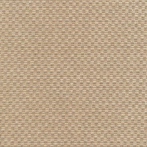 Checkered Out Io Sand Drift by Kasmir Fabric
