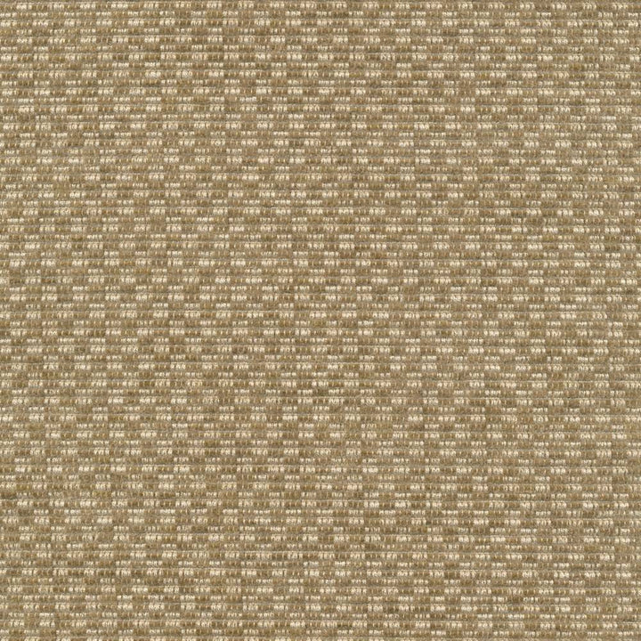 Checkered Out Io Sisal by Kasmir Fabric 1413 100% Acrylic USA 12,000 Wyzenbeek Double Rubs H: 6/8 inches, V:3/8 inches 54 - Fabric Carolina - Kasmir