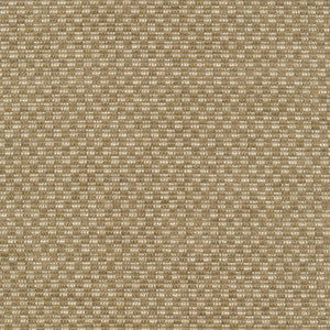 Checkered Out Io Sisal by Kasmir Fabric