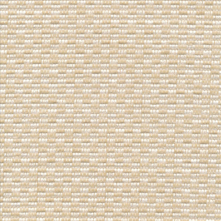 Checkered Out Io Whiter by Kasmir Fabric 1413 100% Acrylic USA 12,000 Wyzenbeek Double Rubs Horizontal: 6/8 inches and Vertical: 3/8 inches 54 - Fabric Carolina -