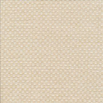 Checkered Out Io Whiter by Kasmir Fabric 1413 100% Acrylic USA 12,000 Wyzenbeek Double Rubs H: 6/8 inches, V: 3/8 inches 54 - Fabric Carolina - Kasmir