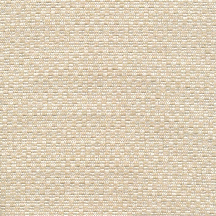 Checkered Out Io Whiter by Kasmir Fabric 1413 100% Acrylic USA 12,000 Wyzenbeek Double Rubs H: 6/8 inches, V:3/8 inches 54 - Fabric Carolina - Kasmir