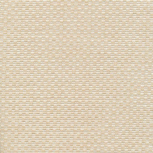 Checkered Out Io Whiter by Kasmir Fabric