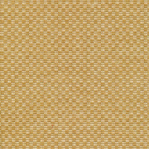 Checkered Out Io Wicker by Kasmir Fabric
