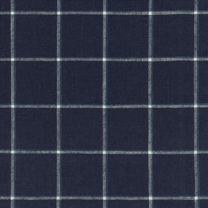 Checkered Past Marina by Kasmir Fabric 1458 55% Linen
45% Rayon
 CHINA 36,000 Wyzenbeek Double Rubs Horizontal: 3 3/8 inches and Vertical: 3 3/8 inches 54 - Fabric Carolina -