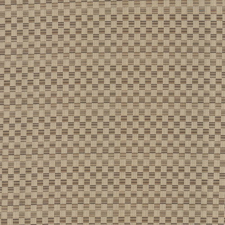 Check This Out Latte by Kasmir Fabric 5083 55% Polyester
45% Rayon
 CHINA </p><p>Repeat: Horizontal: 1 inches and Vertical: 3 inches 55 - Fabric Carolina -