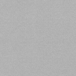 Chester Ash by Kasmir Fabric