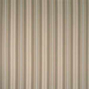 Cheverny Stripe Pearl by Kasmir Fabric