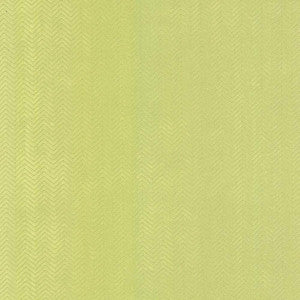 Chevreau Chevron Kiwi by Kasmir Fabric