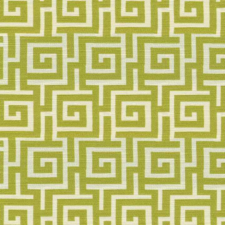 Chin Chin Willow by Kasmir Fabric 1367 100% Cotton
 PAKISTAN 15,000 Wyzenbeek Double Rubs </p><p>Repeat: Horizontal: 6 6/8 inches and Vertical: 6 6/8 inches 54 - Fabric Carolina -