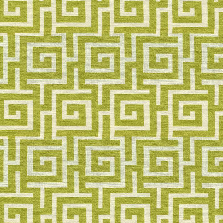 Chin Chin Willow by Kasmir Fabric 1367 100% Cotton PAKISTAN 15,000 Wyzenbeek Double Rubs H: 6 6/8 inches, V:6 6/8 inches 54 - Fabric Carolina - Kasmir