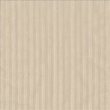 Chinook Taupe by Kasmir Fabric 1414 90% Polyester 10% Rayon MEXICO Not Tested H: 3/8 inches, V: N/A 116 - 117 - Fabric Carolina - Kasmir