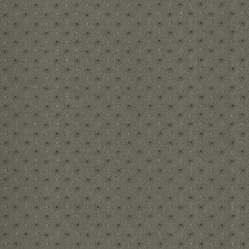 Chiseled Dove by Kasmir Fabric 5119 62% Polyester
38% Cotton
 INDIA </p><p>Repeat: Horizontal: 1 2/8 inches and Vertical: 1 inches 54 - Fabric Carolina -