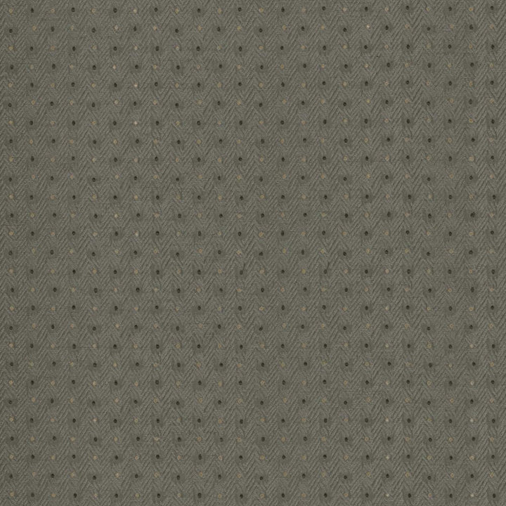 Chiseled Dove by Kasmir Fabric 5119 62% Polyester
38% Cotton
 INDIA </p><p>Repeat: Horizontal: 1 2/8 inches and Vertical: 1 inches 54 - Fabric Carolina -