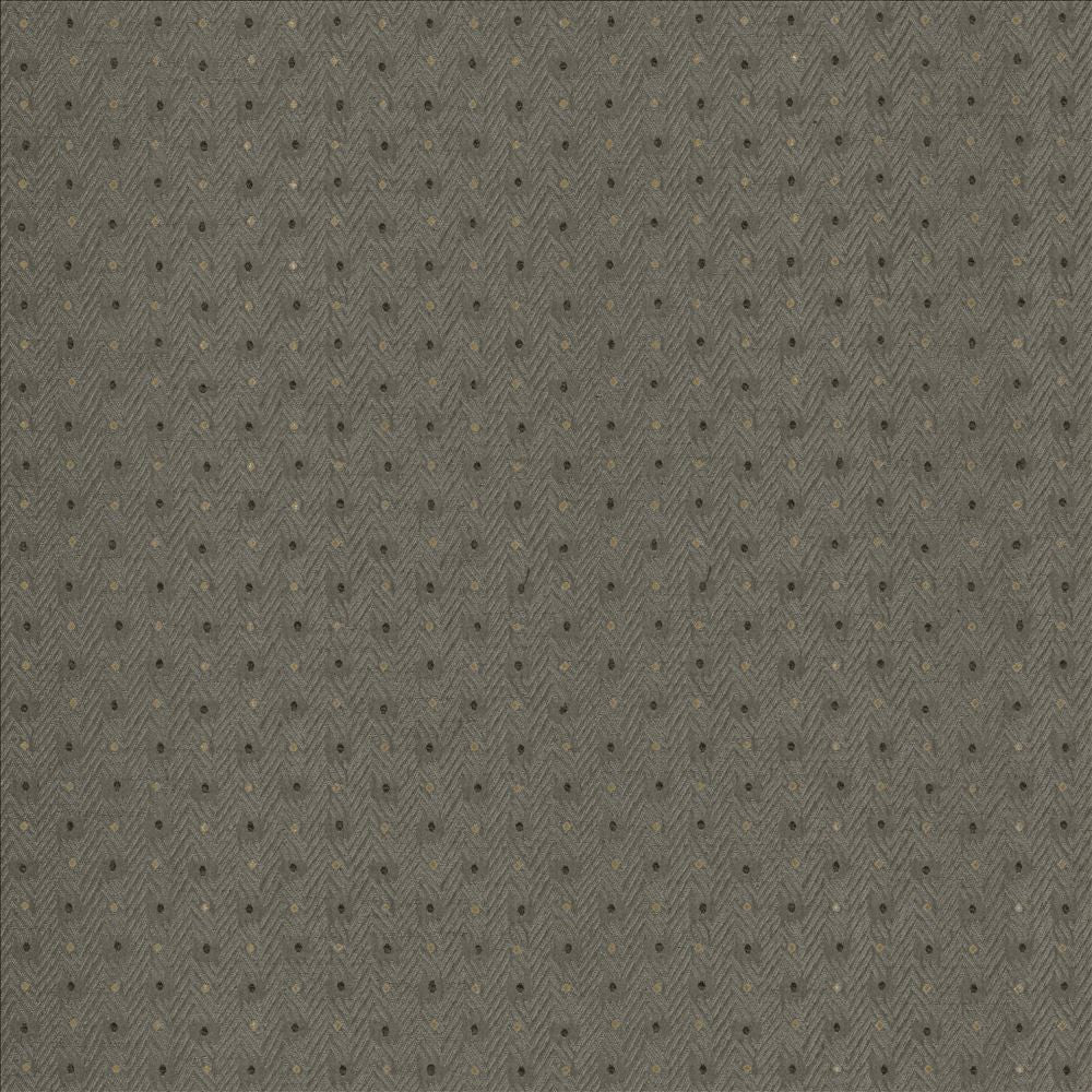 Chiseled Dove by Kasmir Fabric 5119 62% Polyester 38% Cotton INDIA 30,000 Wyzenbeek Double Rubs Horizontal: 1 2/8 inches and Vertical: 1 inches 54 - Fabric Carolina -