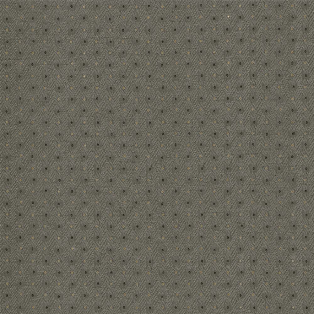 Chiseled Dove by Kasmir Fabric 5119 62% Polyester
38% Cotton
 INDIA </p><p>Repeat: Horizontal: 1 2/8 inches and Vertical: 1 inches 54 - Fabric Carolina -