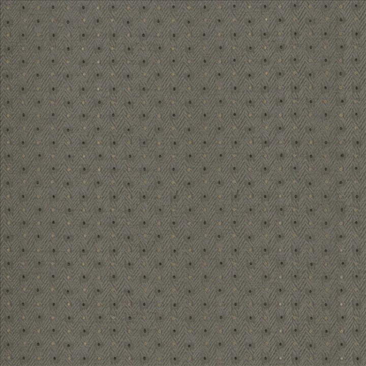 Chiseled Dove by Kasmir Fabric 5119 62% Polyester
38% Cotton
 INDIA </p><p>Repeat: Horizontal: 1 2/8 inches and Vertical: 1 inches 54 - Fabric Carolina -