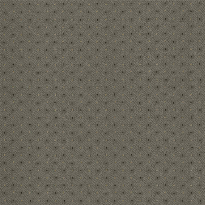 Chiseled Dove by Kasmir Fabric 5119 62% Polyester
38% Cotton
 INDIA 30,000 Wyzenbeek Double Rubs </p><p>Repeat: Horizontal: 1 2/8 inches and Vertical: 1 inches 54 - Fabric Carolina -